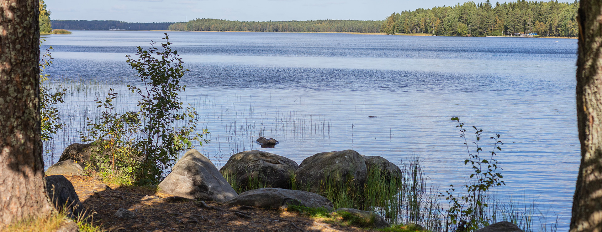 Nydalasjön 1920X742 Px