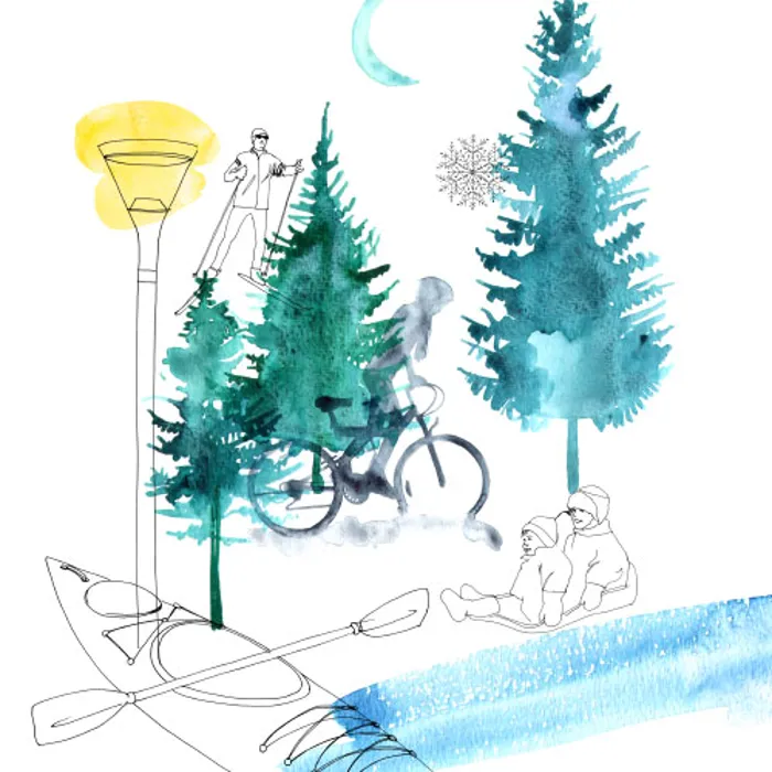 A person cycling, skiing, and walking in the forest.