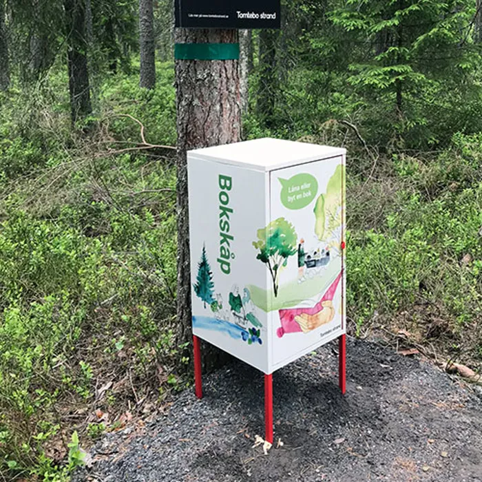Book cabinet in the forest
