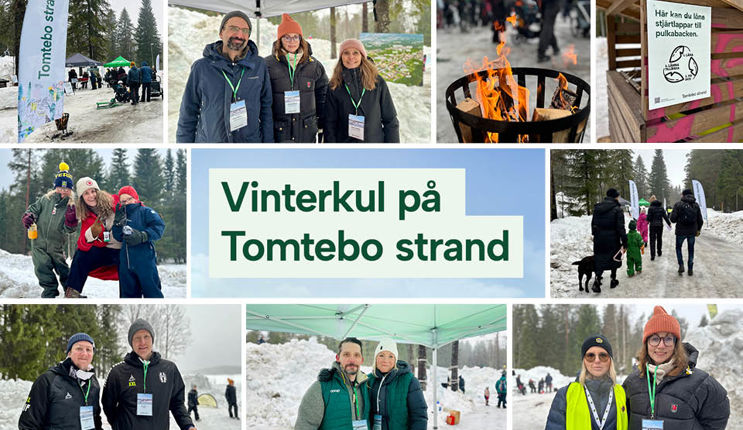 Kollage Vinterkul Tomtebo Strand