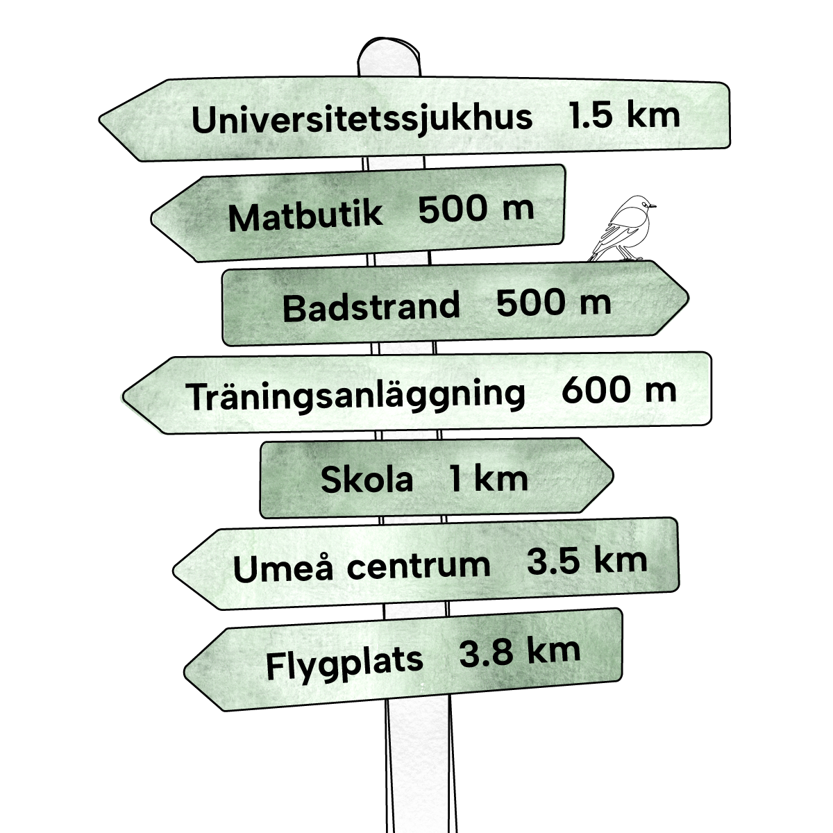 Skylt 1200X1200px V2 SVE Blank