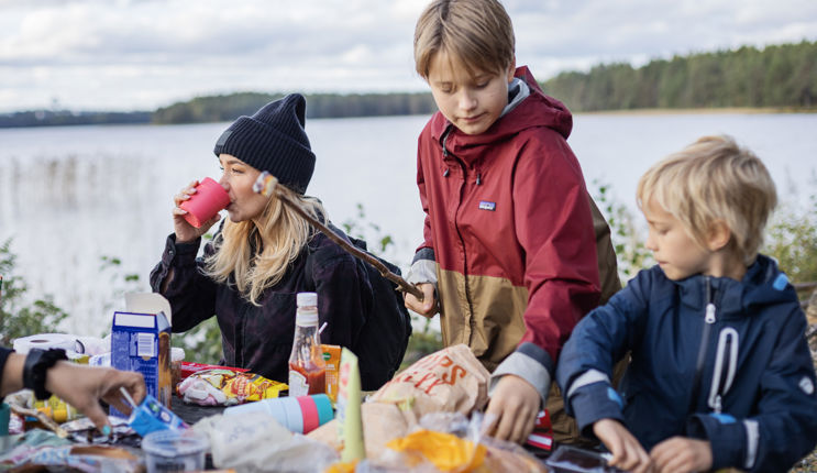 Familj Fikar På Grillplats Vid Nydalasjön